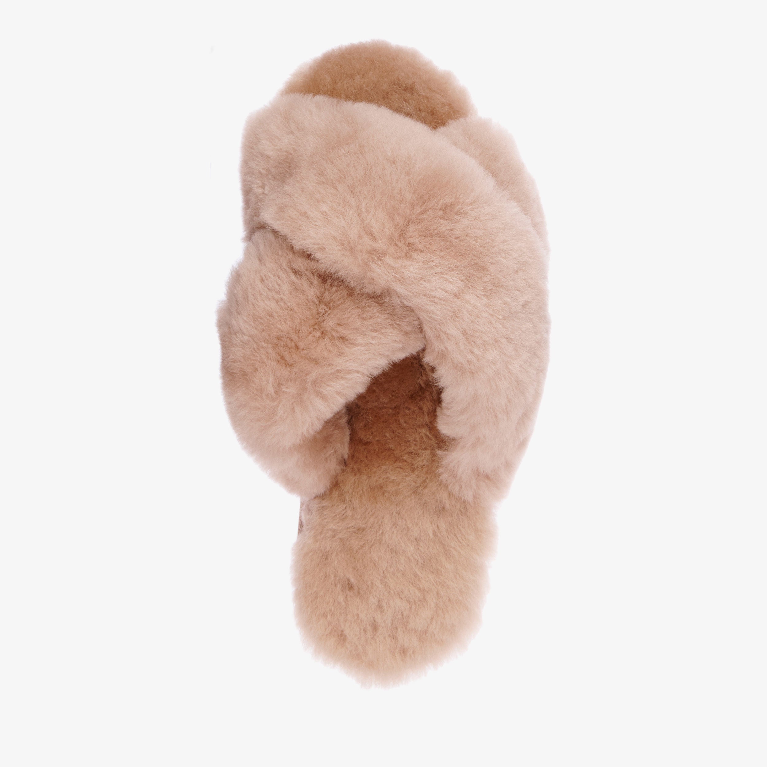 Mayberry in Camel - Milu James St