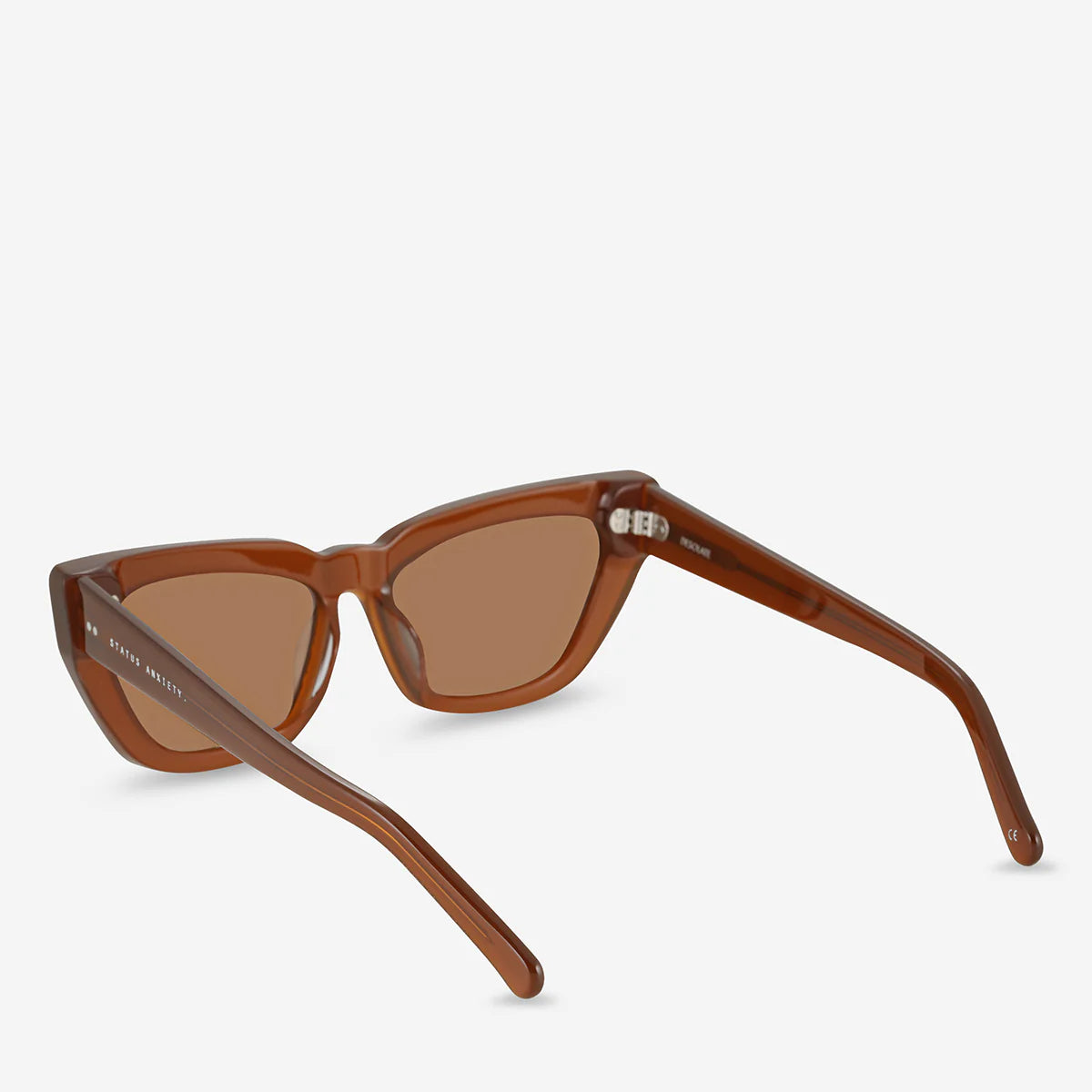 Desolate Sunglasses in Brown