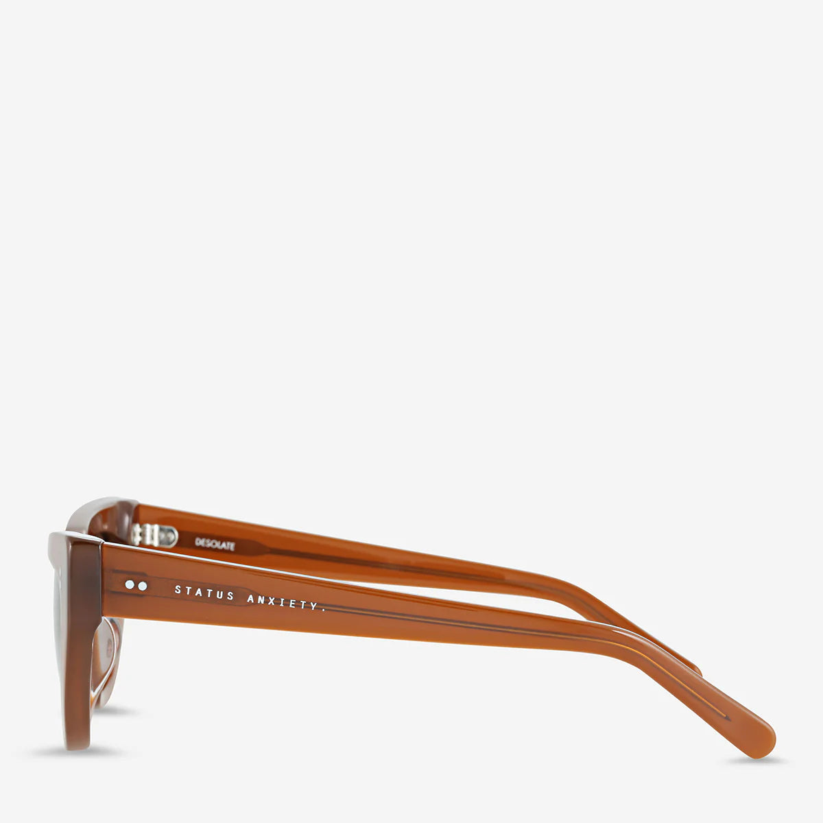 Desolate Sunglasses in Brown