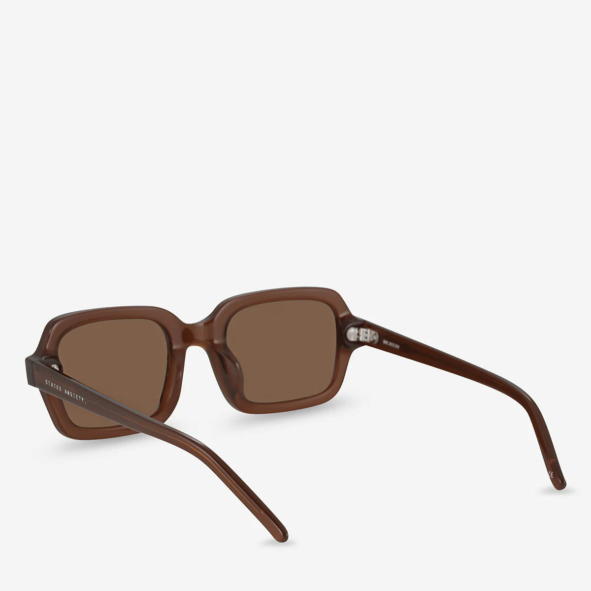 Vacation Sunglasses in Brown