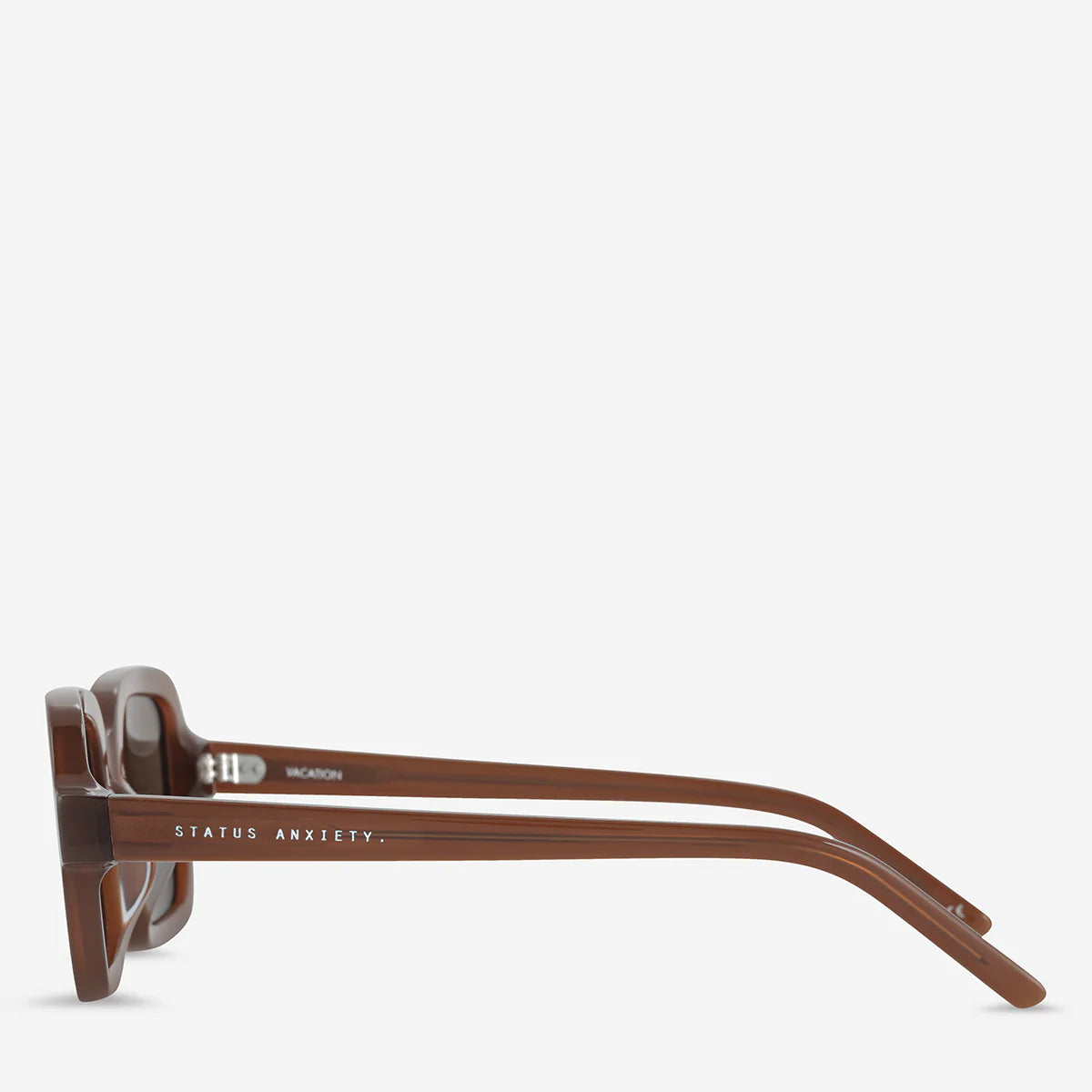 Vacation Sunglasses in Brown