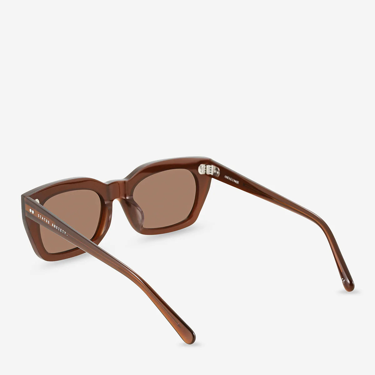 Antagonist Sunglasses in Brown - Milu James St