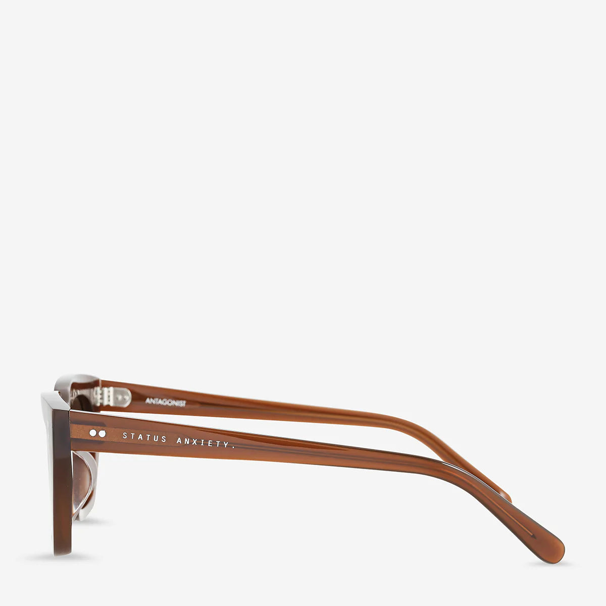 Antagonist Sunglasses in Brown - Milu James St