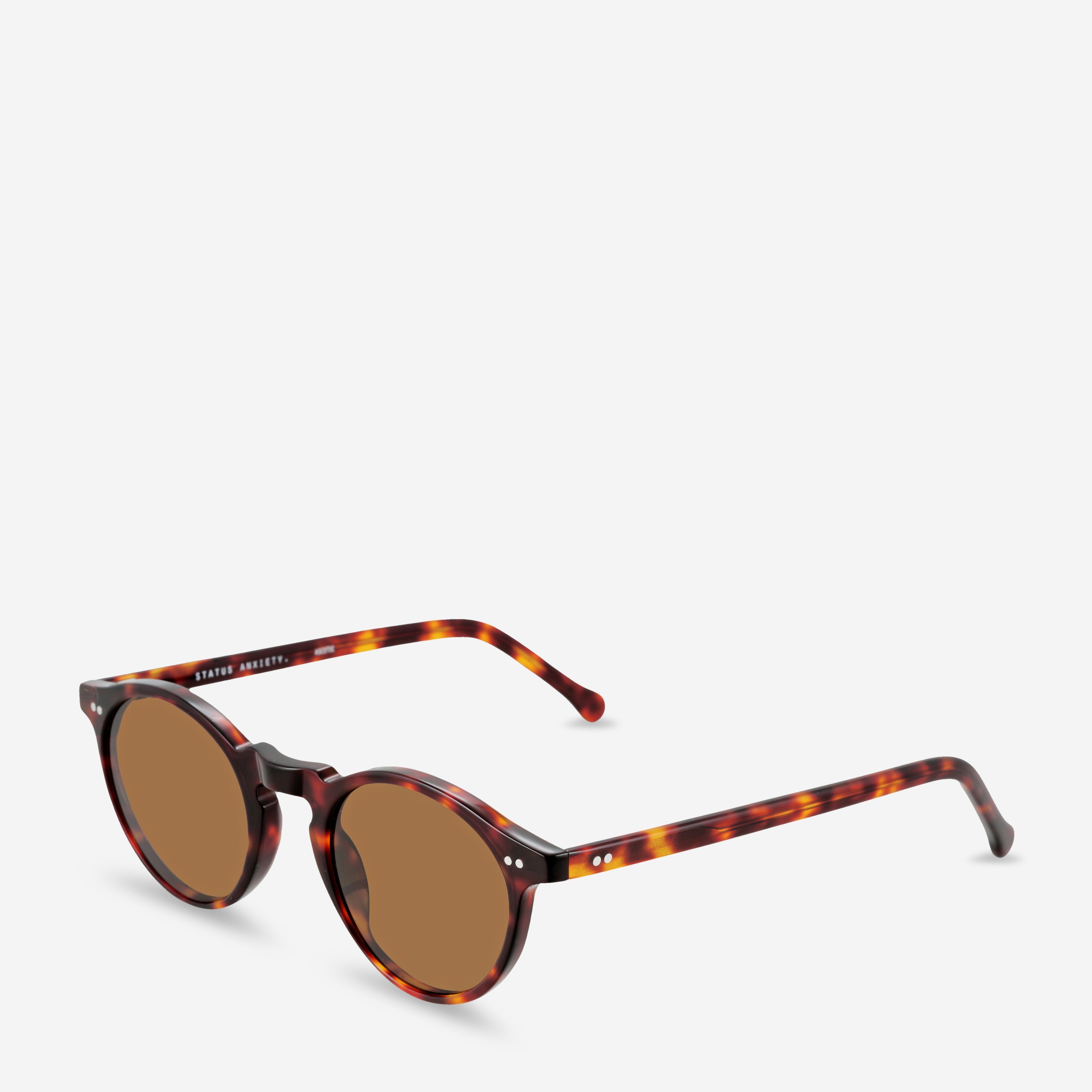 Ascetic Sunglasses in Brown Tort