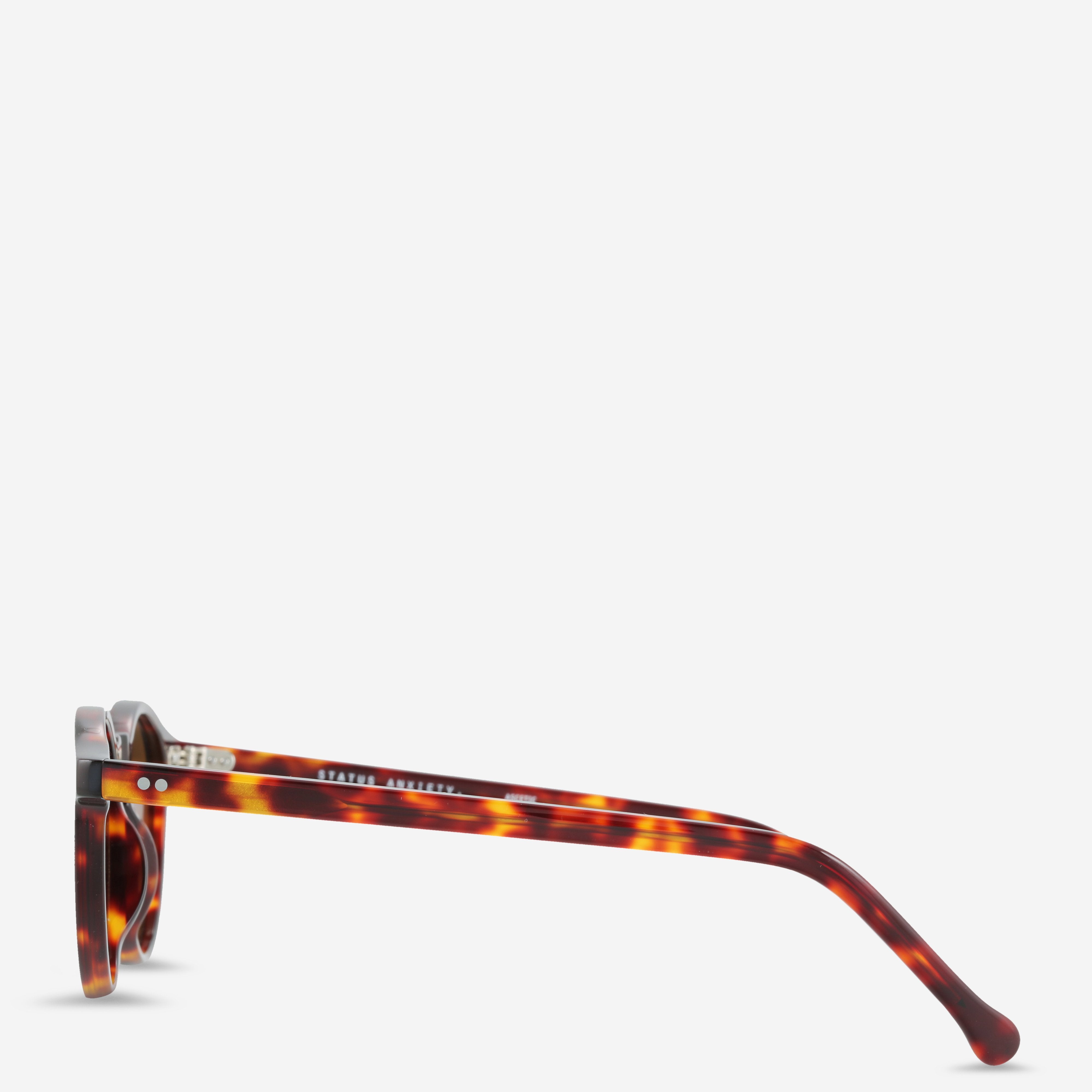 Ascetic Sunglasses in Brown Tort