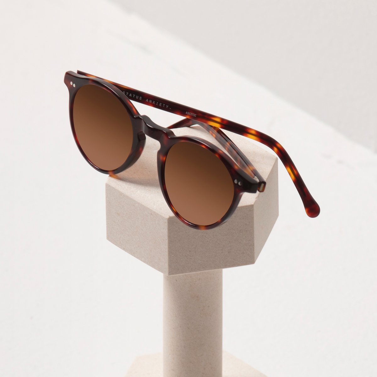 Ascetic Sunglasses in Brown Tort