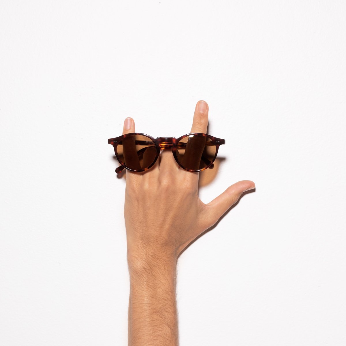 Ascetic Sunglasses in Brown Tort