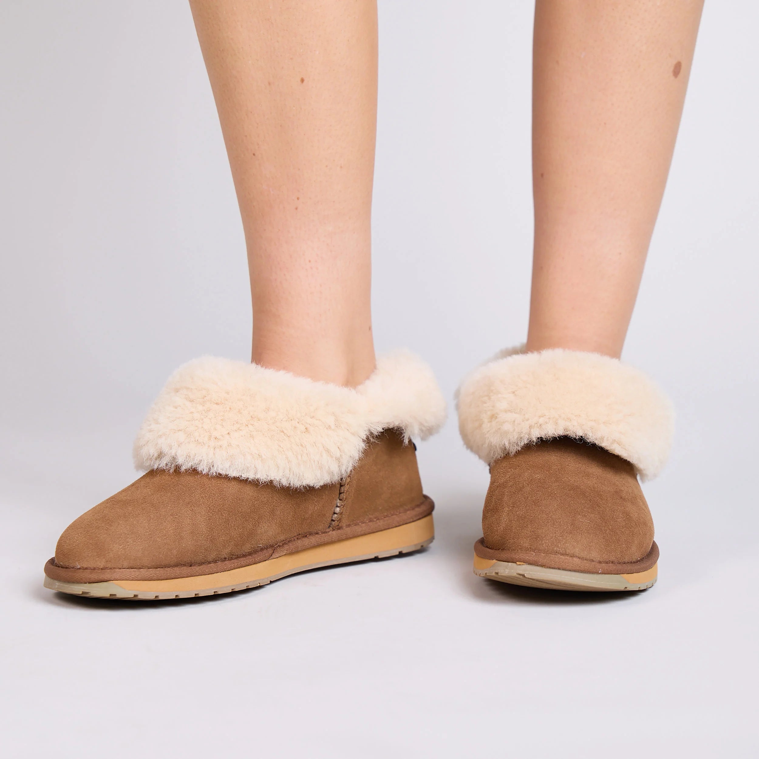Platinum Mintaro in Chestnut - Milu James St