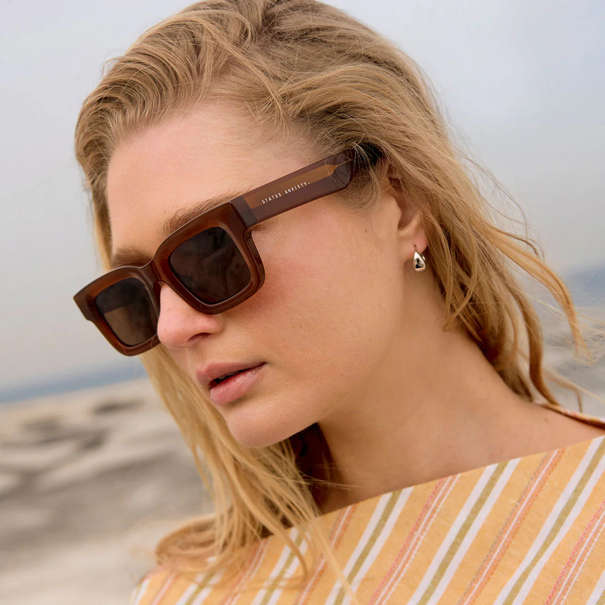 Disorient Sunglasses in Brown