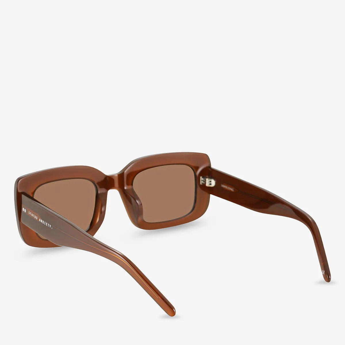 Unyielding Sunglasses in Brown