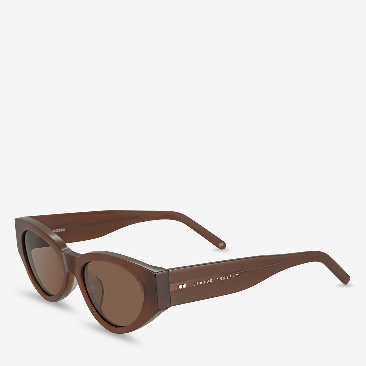 Visceral Sunglasses in Brown