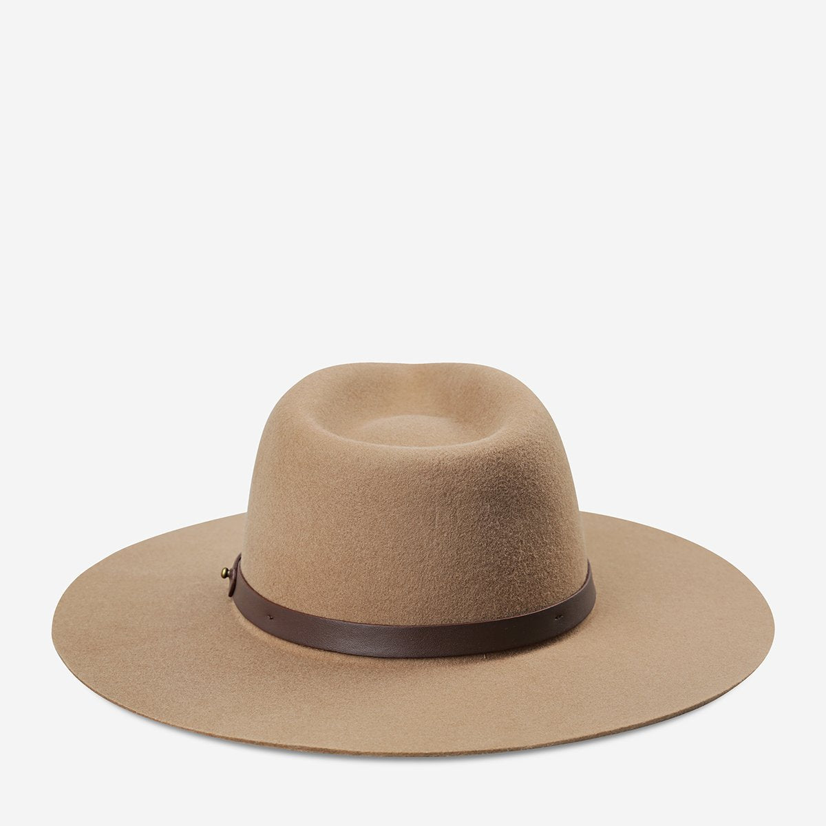 No Stopping Us Hat in Camel