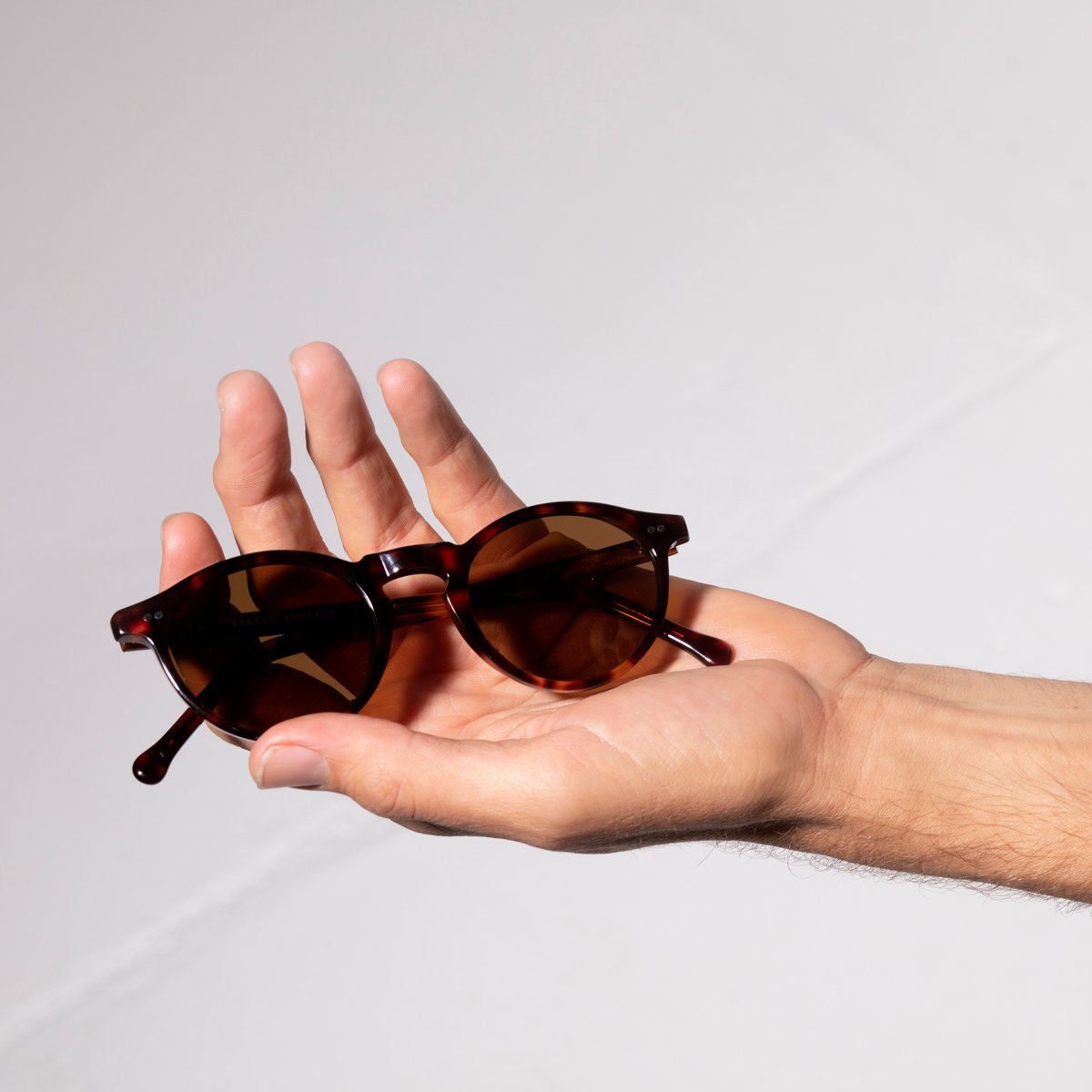 Ascetic Sunglasses in Brown Tort