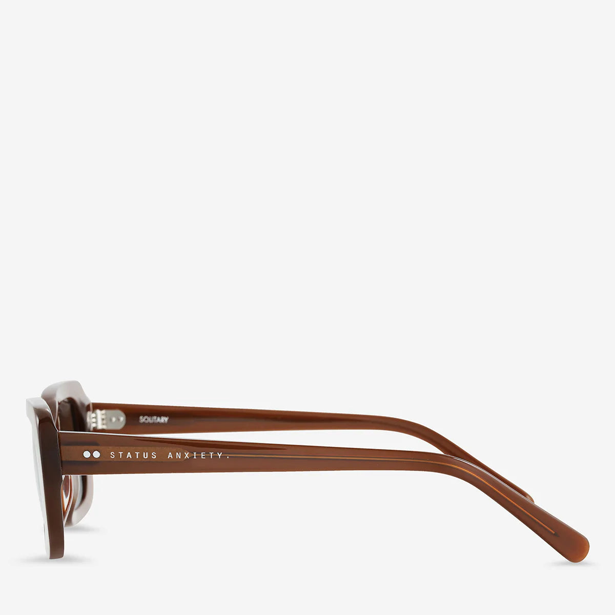 Solitary Sunglasses in Brown